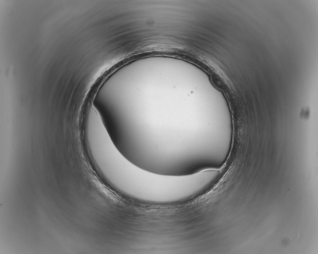 X0000090741026200708101658