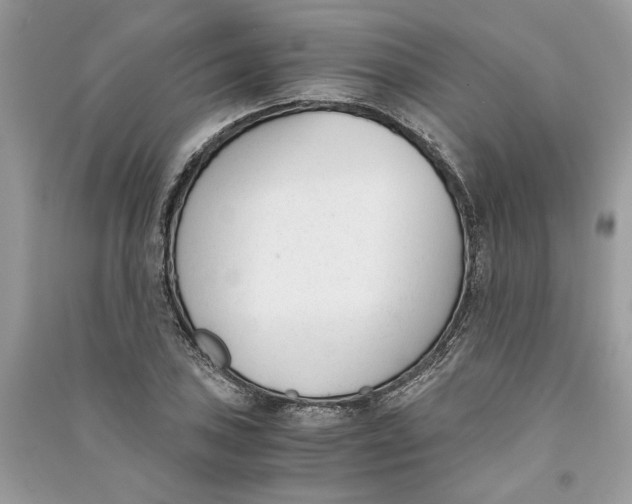 X0000090741027200708101658