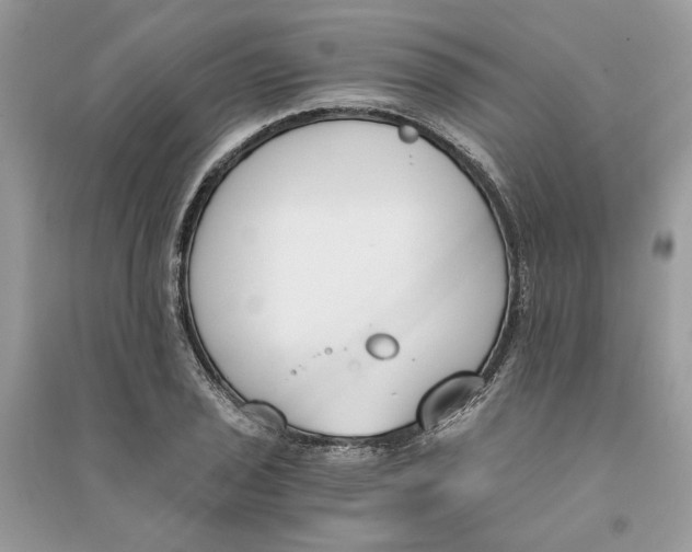 X0000090741029200708101658