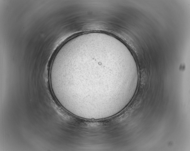 X0000090741031200708101658