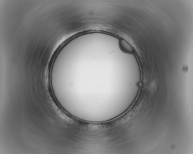 X0000090741032200708101658