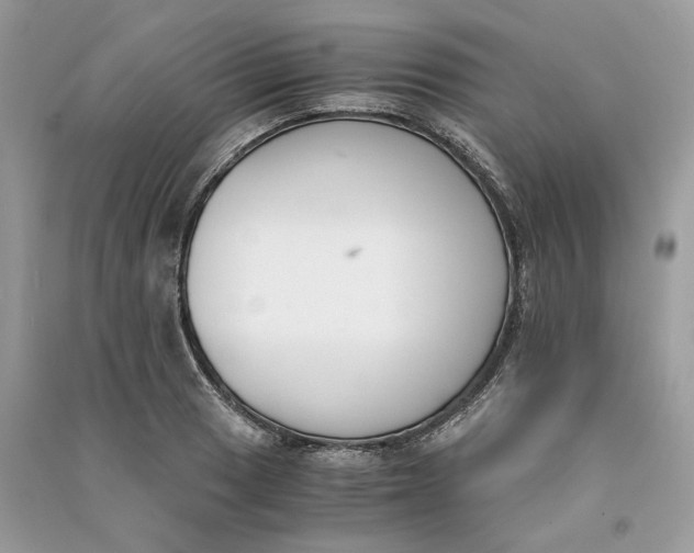 X0000090741033200708101658