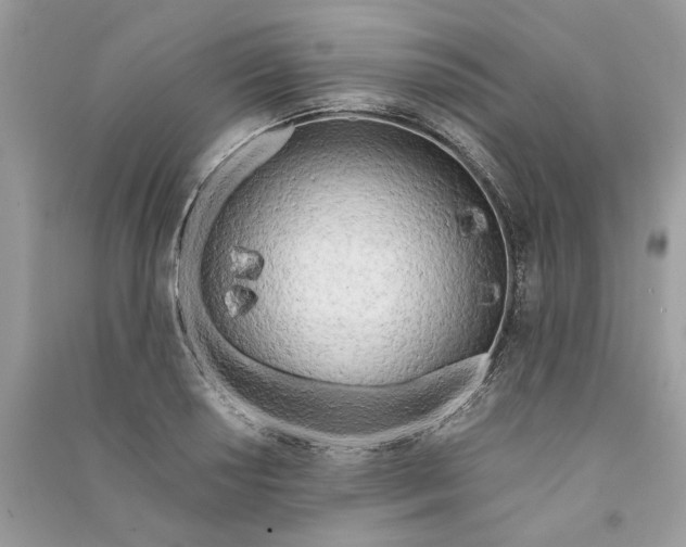 X0000090741034200708101658