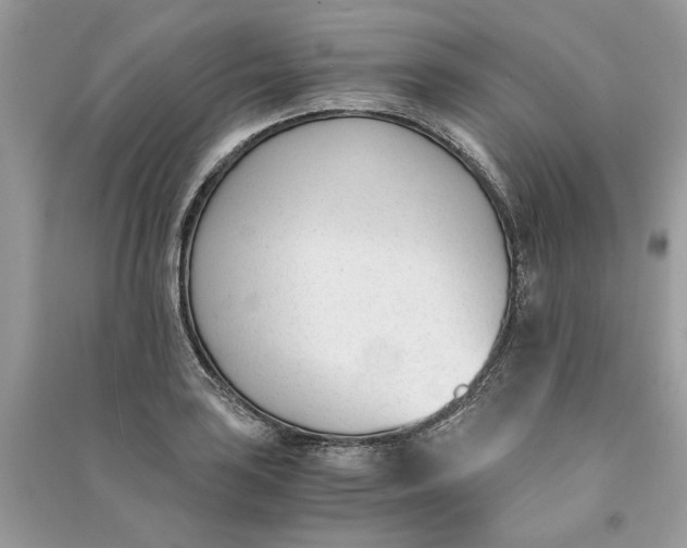 X0000090741035200708101658