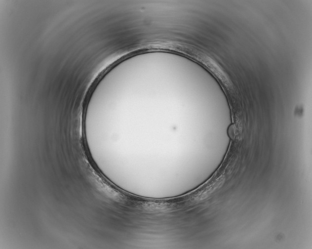 X0000090741036200708101658