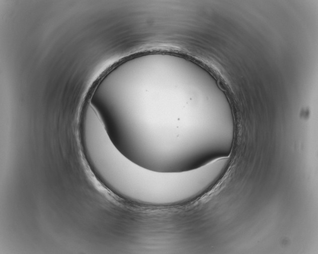 X0000090741038200708101658