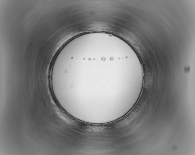 X0000090741039200708101658