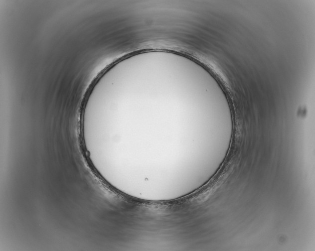 X0000090741040200708101658