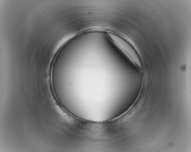 X0000090741042200708101658