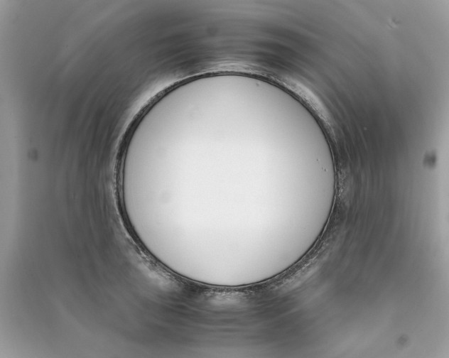 X0000090741043200708101658