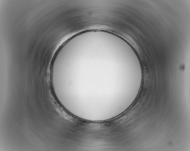 X0000090741044200708101658