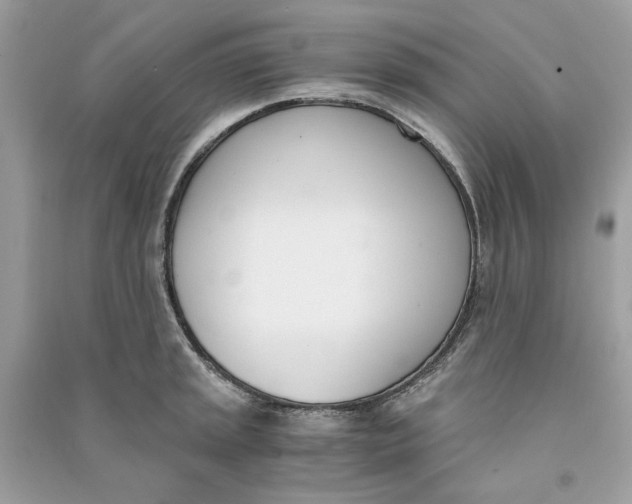 X0000090741045200708101658