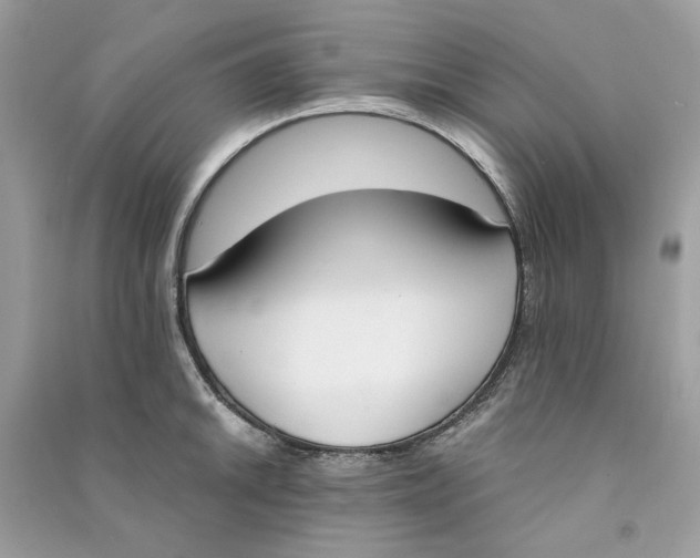 X0000090741046200708101658