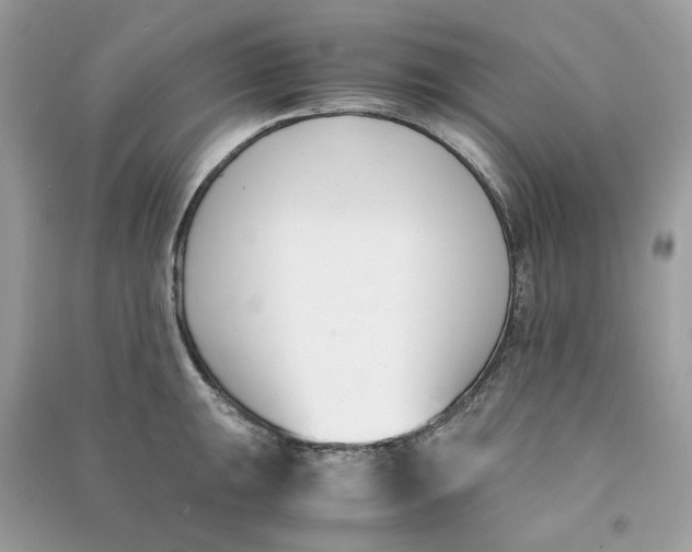 X0000090741047200708101658