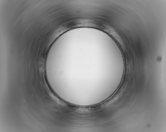 X0000090741049200708101658