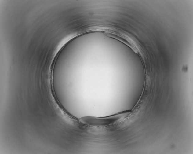 X0000090741050200708101658