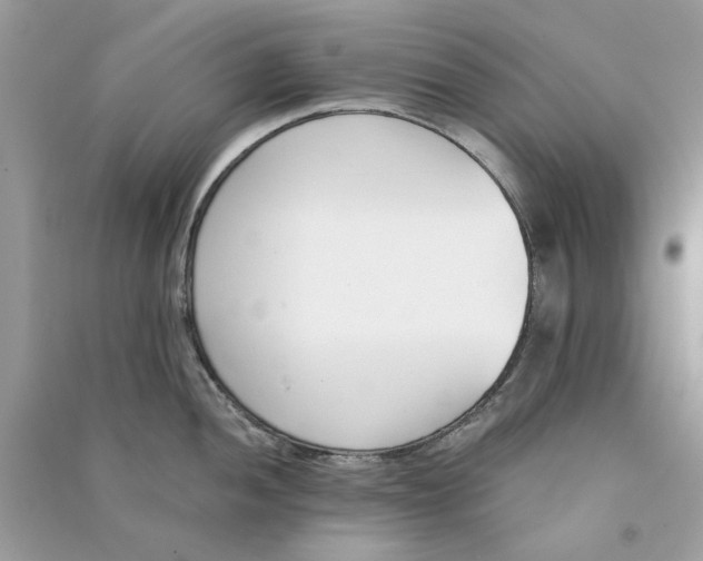 X0000090741052200708101658