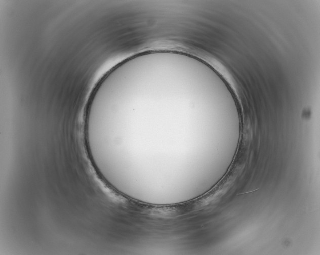 X0000090741053200708101658