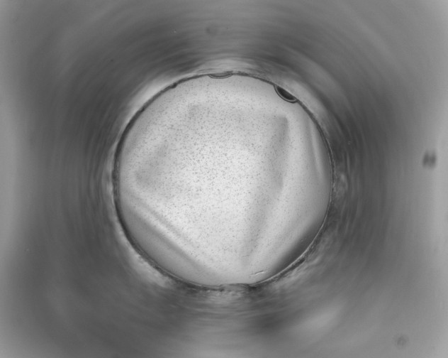 X0000090741055200708101658