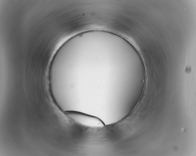 X0000090741056200708101658