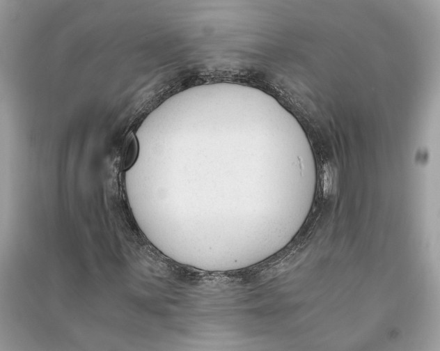 X0000090741059200708101658