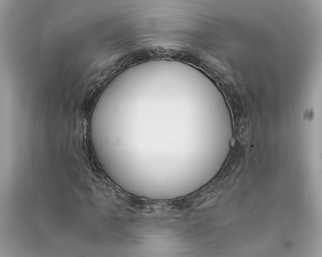 X0000090741061200708101658