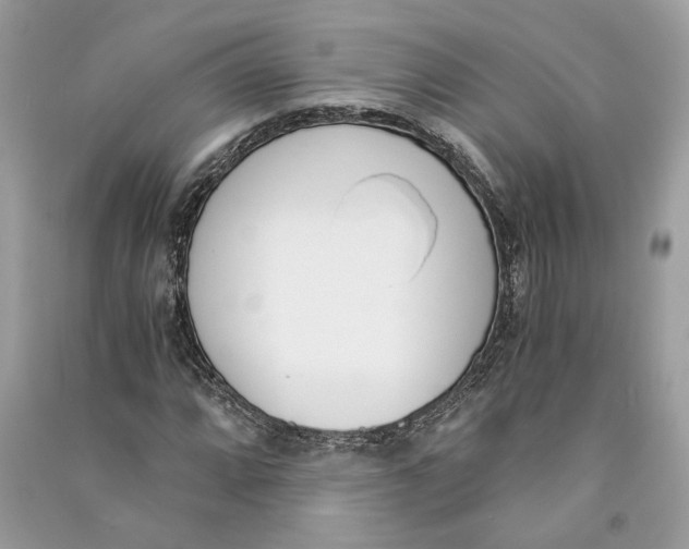 X0000090741064200708101658