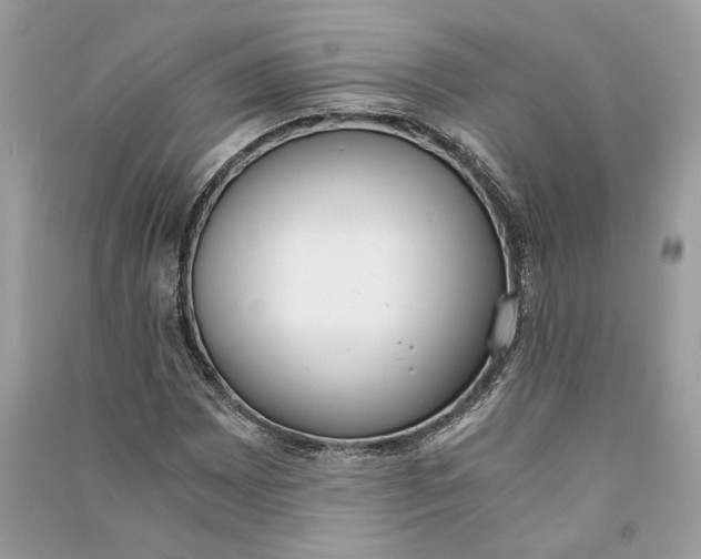 X0000090741065200708101658