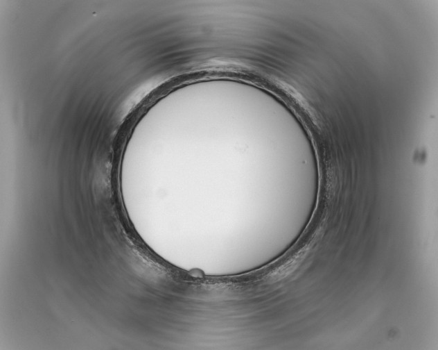 X0000090741066200708101658