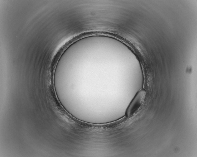 X0000090741069200708101658