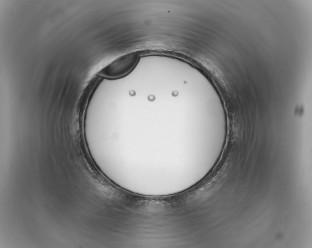 X0000090741070200708101658