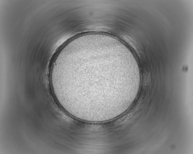 X0000090741071200708101657