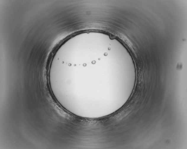 X0000090741072200708101657