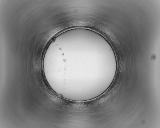 X0000090741073200708101657