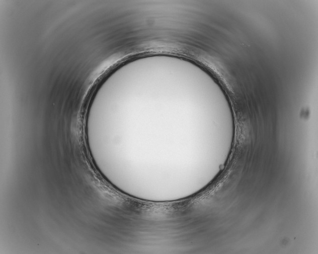 X0000090741074200708101657