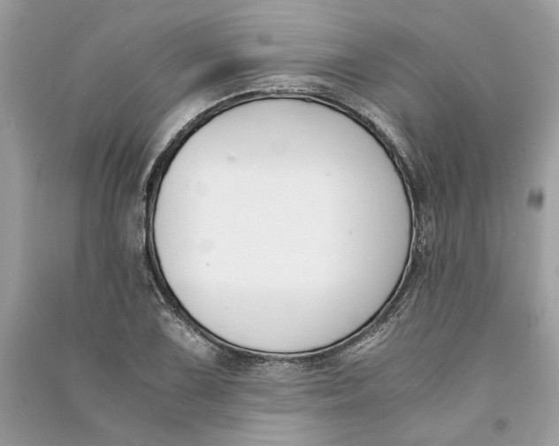 X0000090741075200708101657