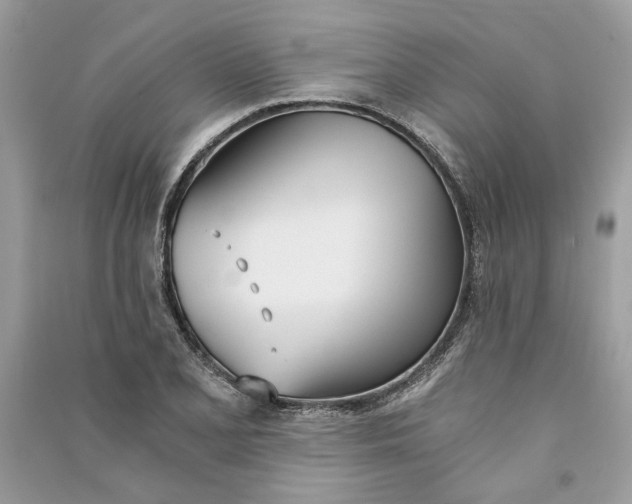 X0000090741077200708101657