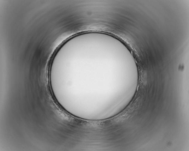 X0000090741078200708101657