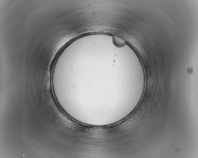 X0000090741079200708101657