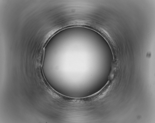 X0000090741081200708101657