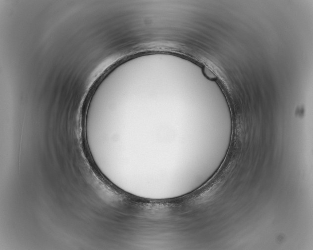 X0000090741082200708101657