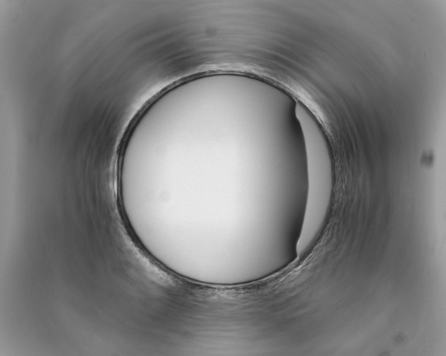 X0000090741084200708101657