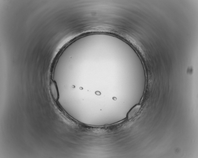 X0000090741085200708101657