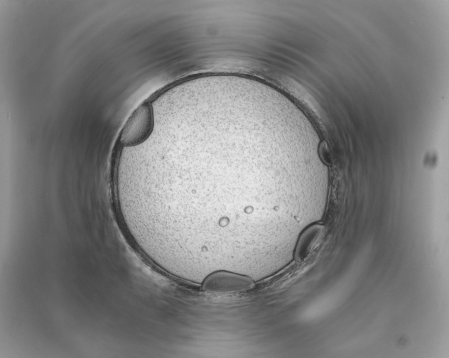 X0000090741087200708101657