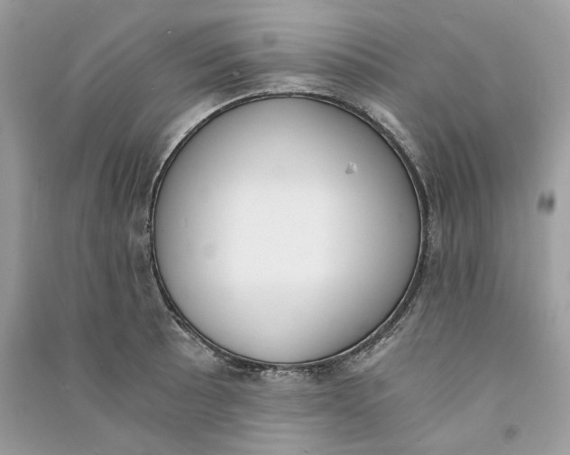 X0000090741089200708101657