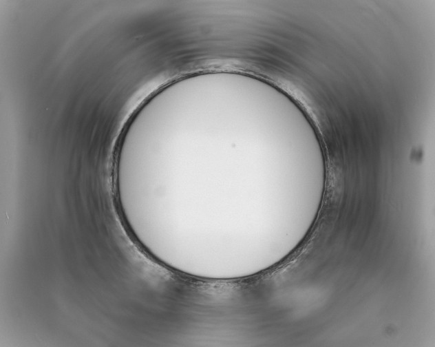 X0000090741090200708101657