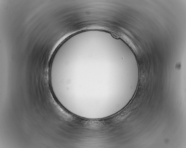 X0000090741092200708101657