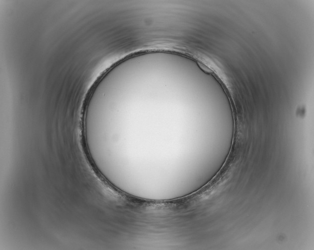 X0000090741093200708101657