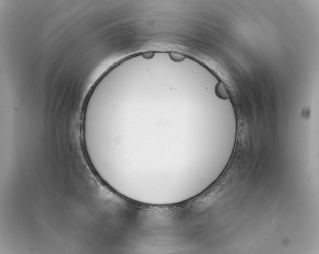 X0000090741094200708101657