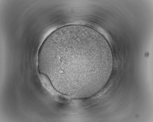 X0000090741095200708101657